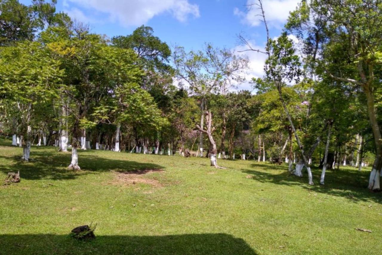 Oyo Eco Silcol, Sao Paulo